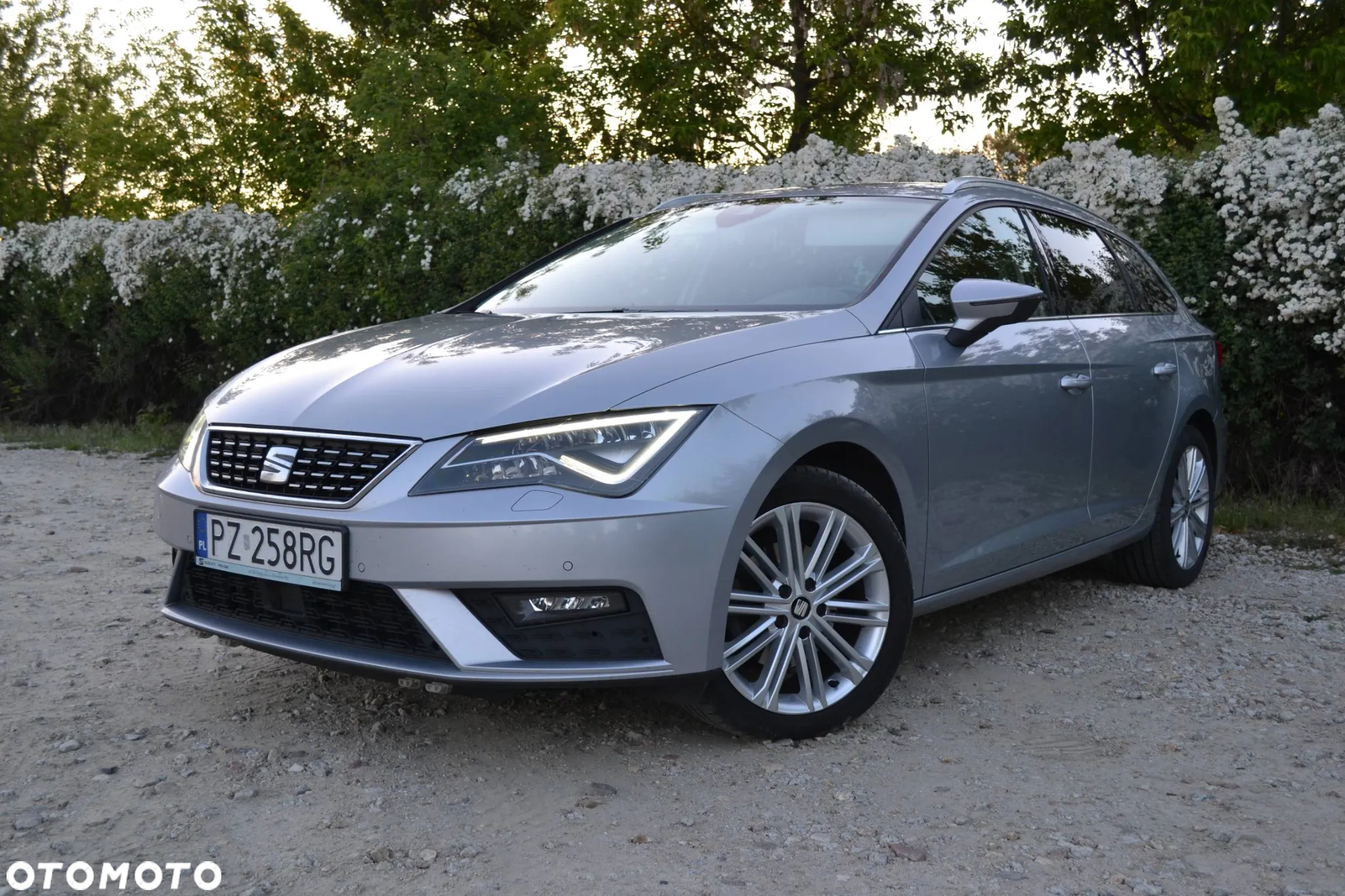 Seat Leon 2.0 TDI Xcellence S&S DSG - 10