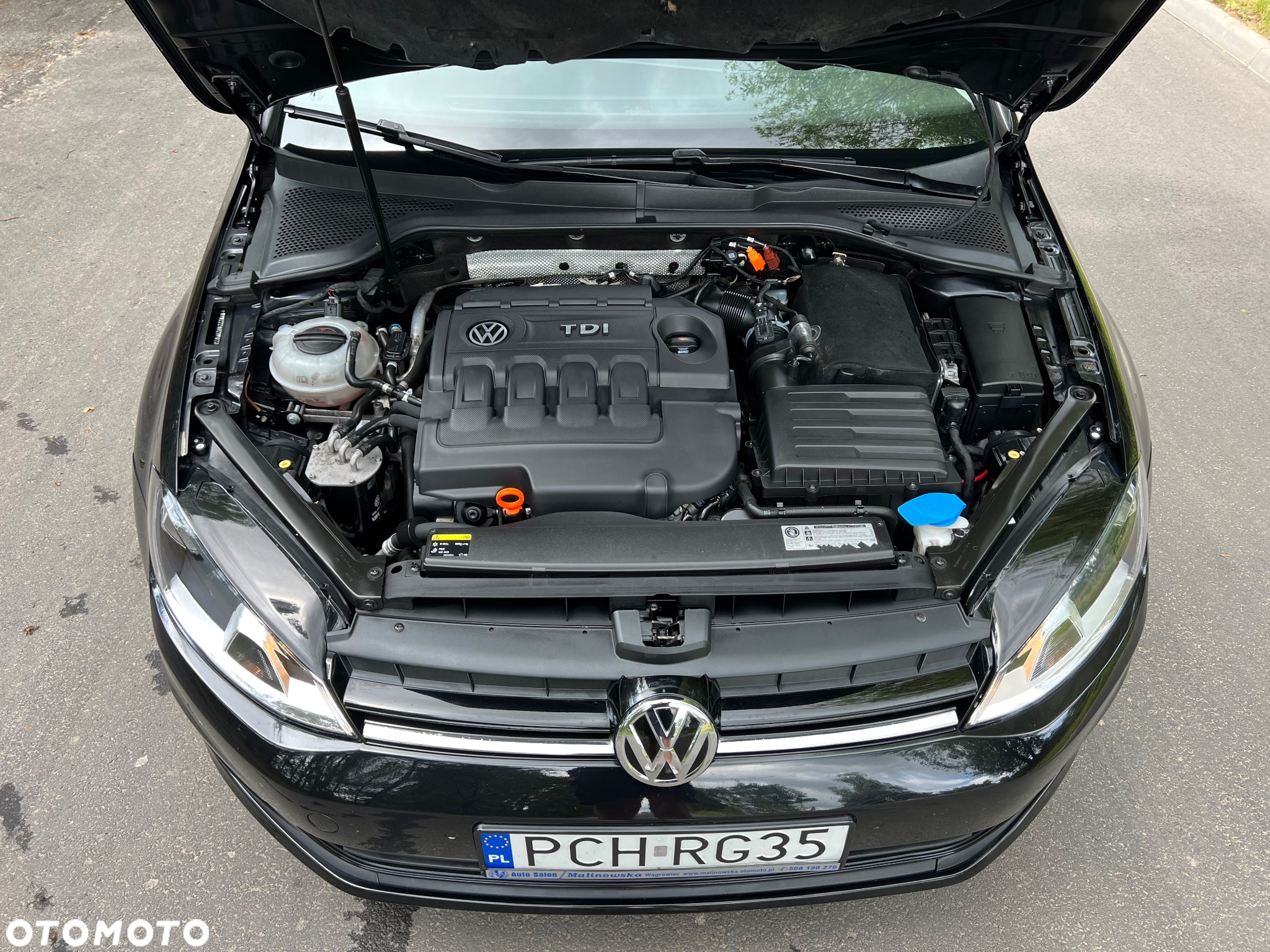 Volkswagen Golf - 13