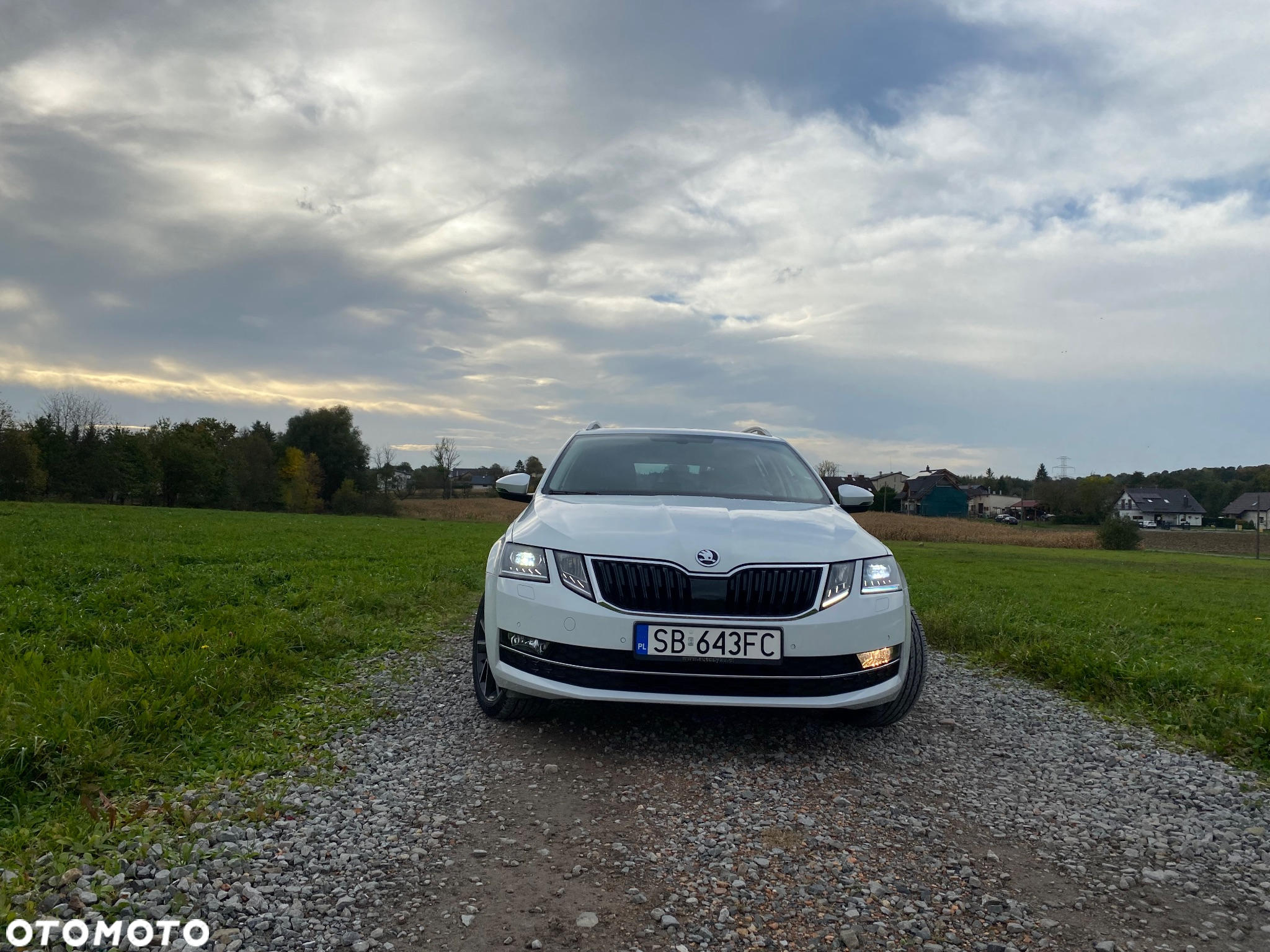 Skoda Octavia 1.6 TDI DSG Style - 13