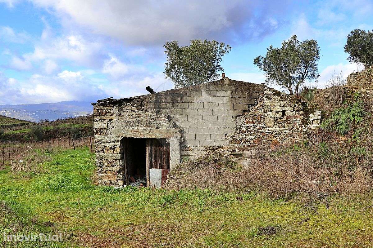 Quinta  para venda - Grande imagem: 4/14