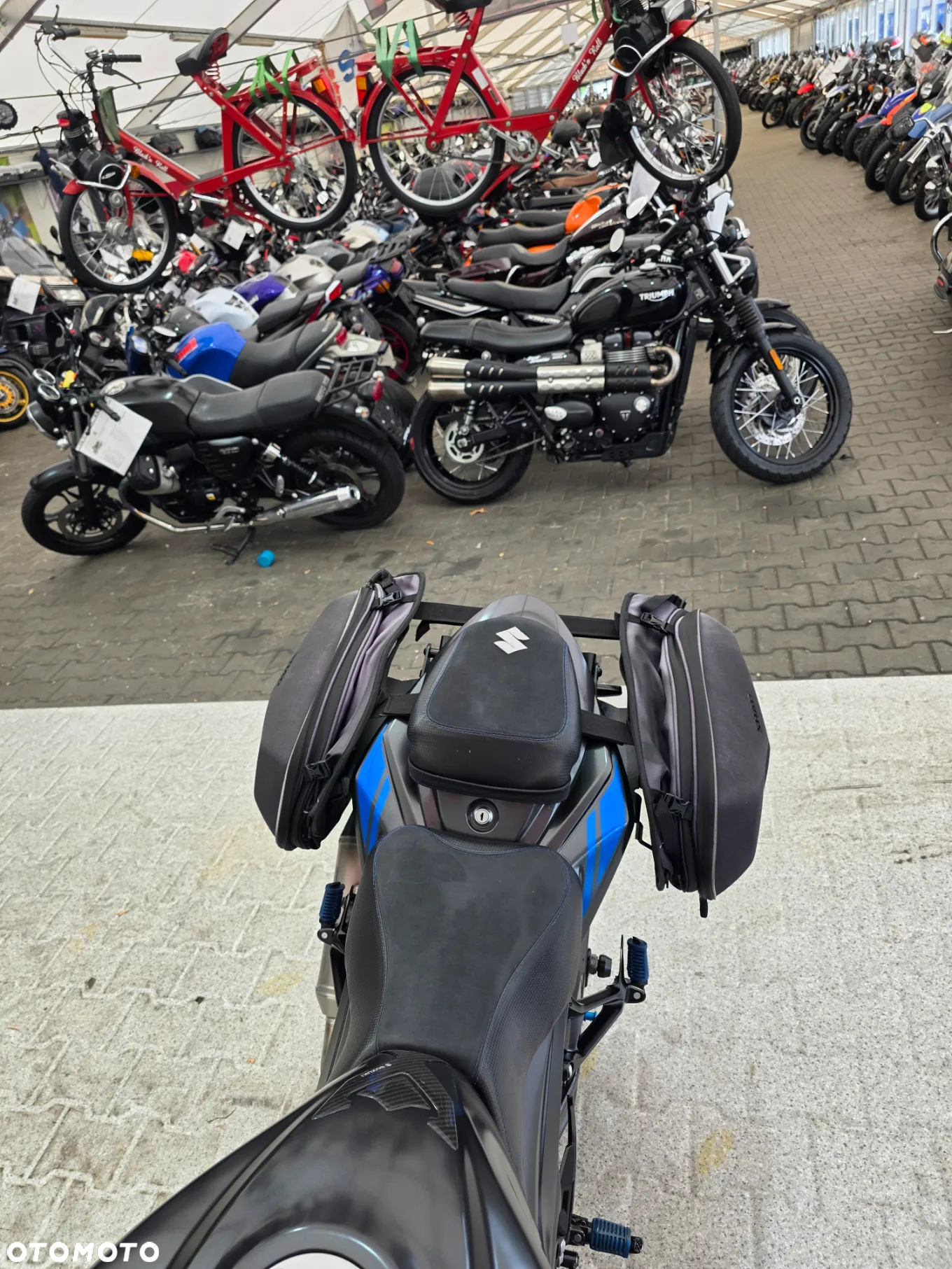 Suzuki GSX - 24