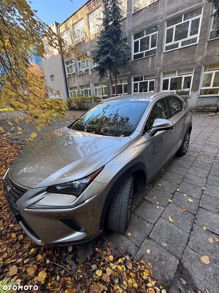 Lexus NX 300h Business Edition AWD - 2