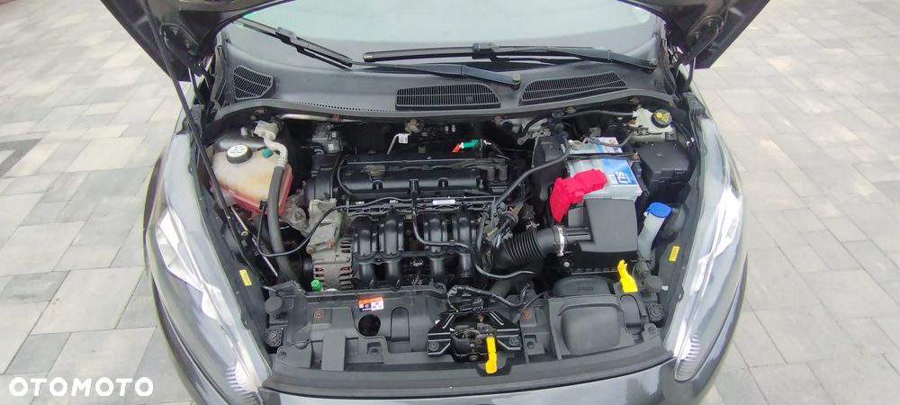Ford Fiesta 1.25 Celebration - 6