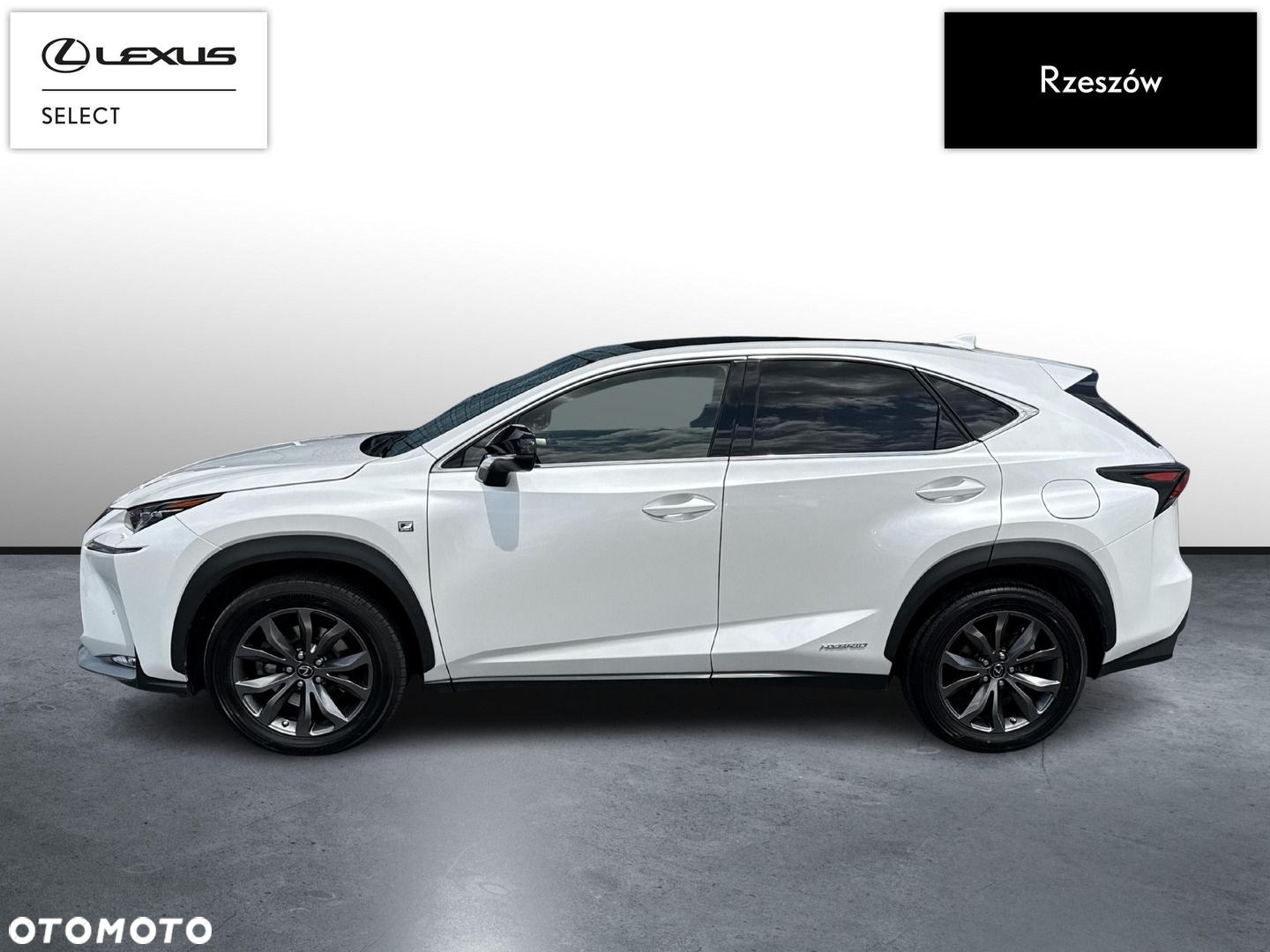 Lexus NX - 2