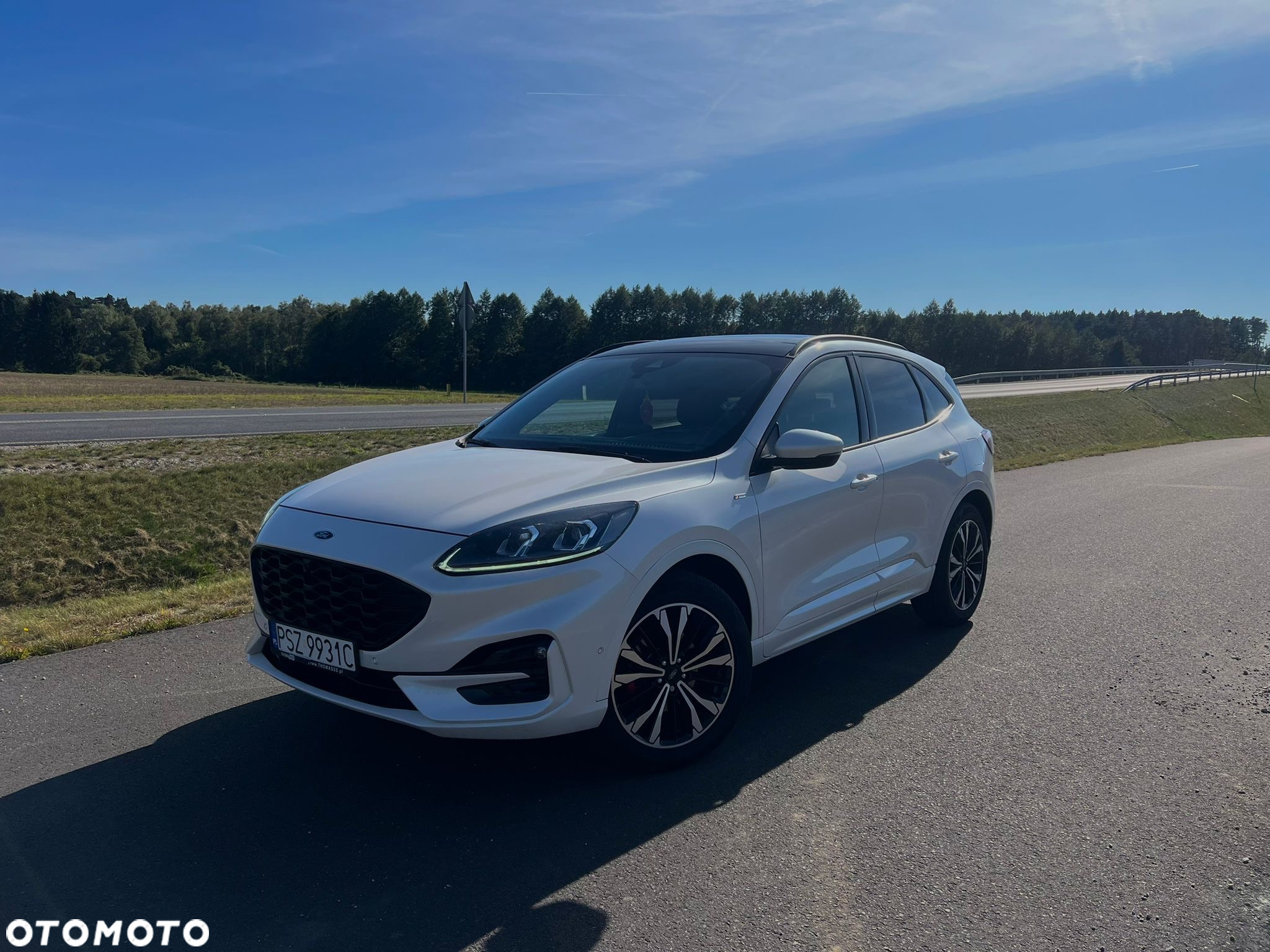 Ford Kuga 2.0 EcoBlue 4x4 ST-LINE - 5