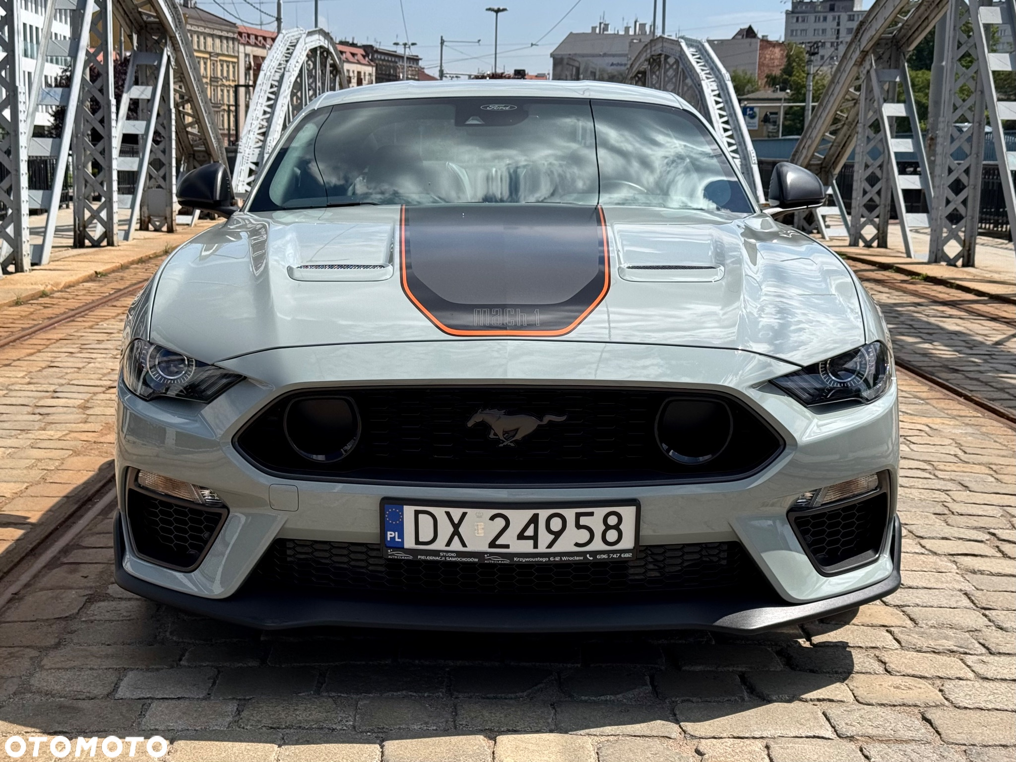 Ford Mustang 5.0 V8 Mach 1 - 6