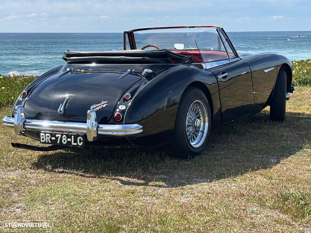 Austin Healey 3000 - 7