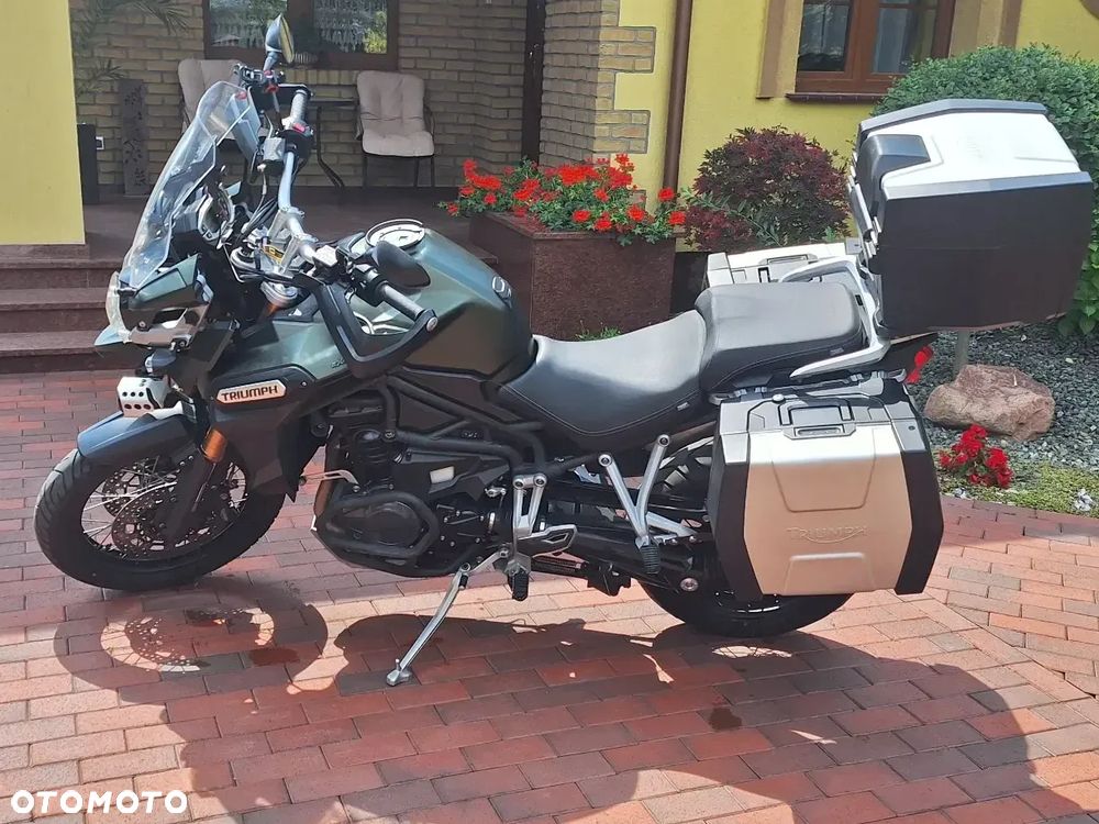 Triumph Tiger - 6