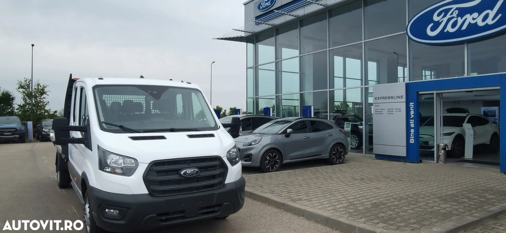Ford TRANSIT Cabina Dubla 7 locuri - 2