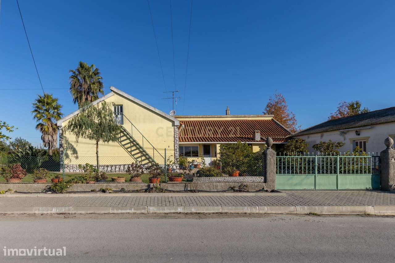 Quinta T4 com 1,4 Hectares: O Refúgio Perfeito entre a Cidade e a Natu - Grande imagem: 3/31