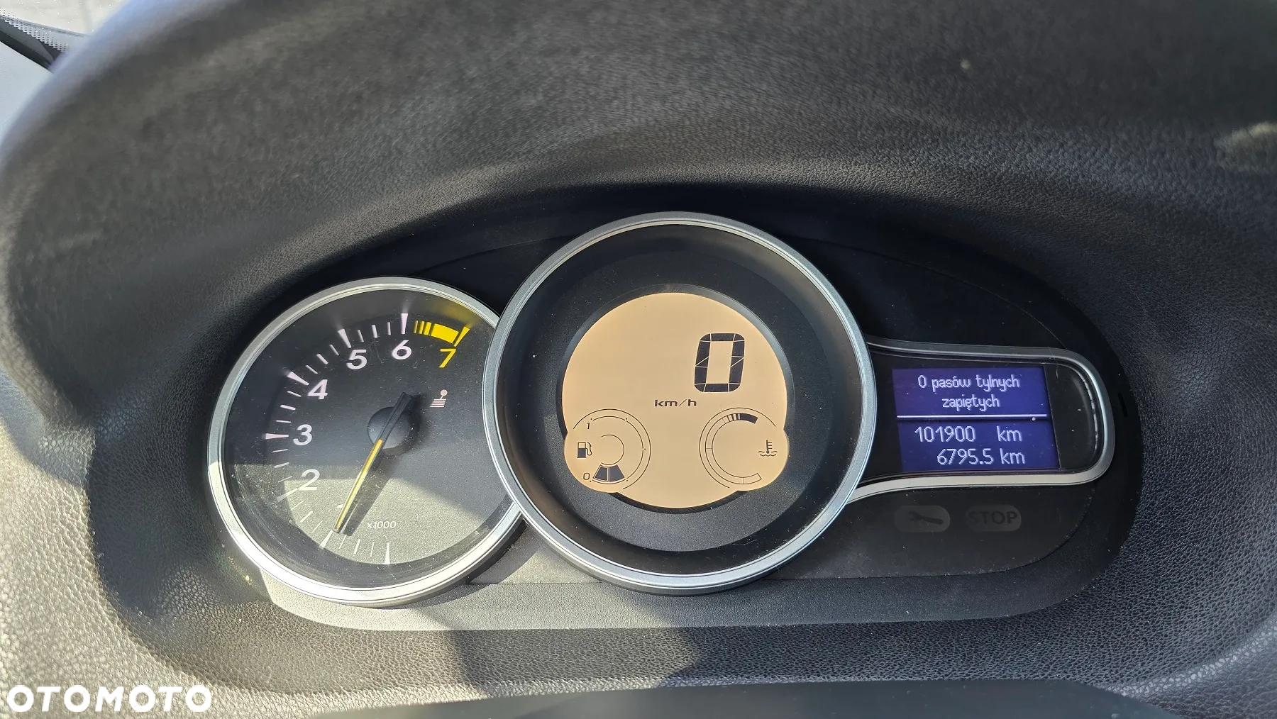 Renault Megane - 24