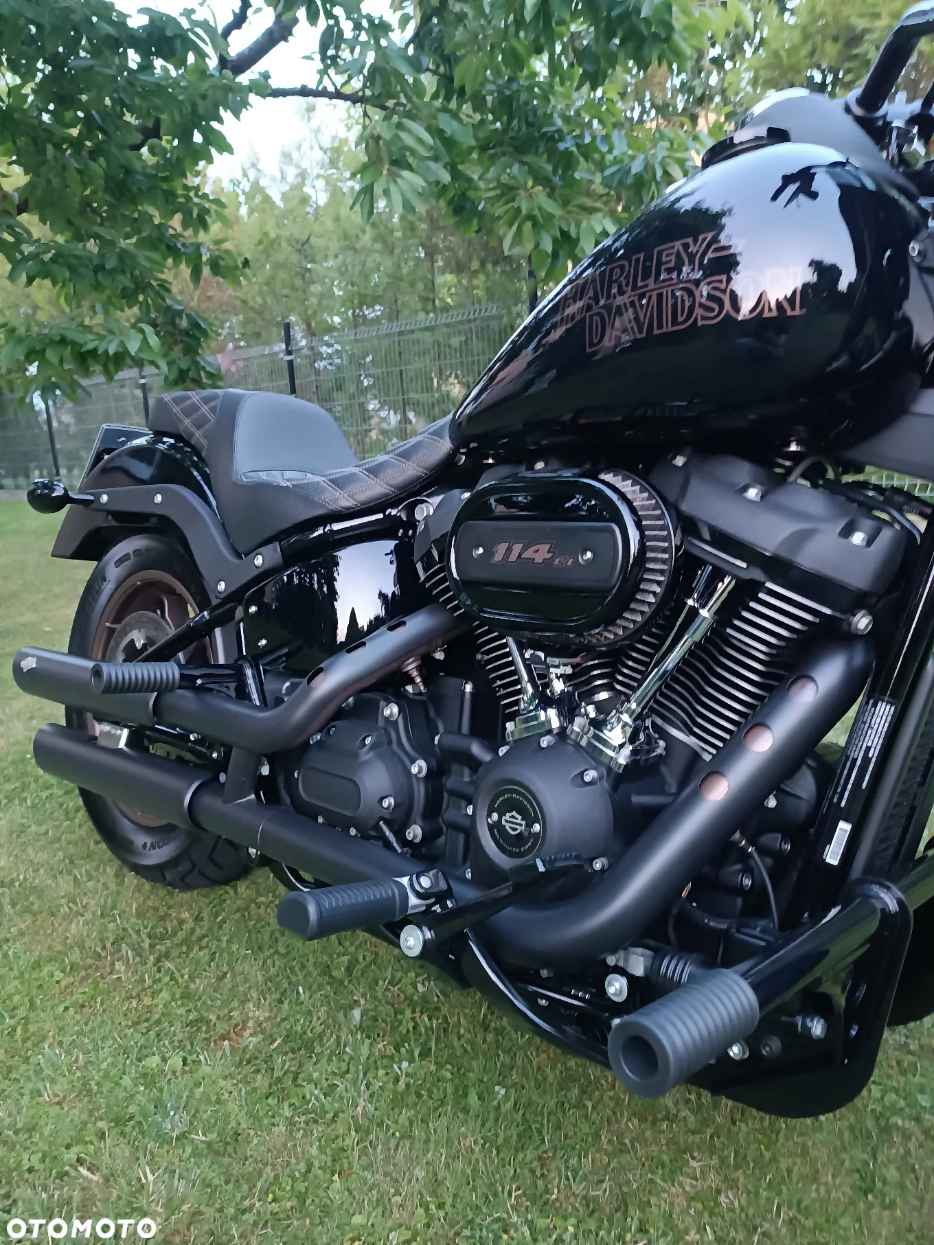 Harley-Davidson Softail Low Rider - 4