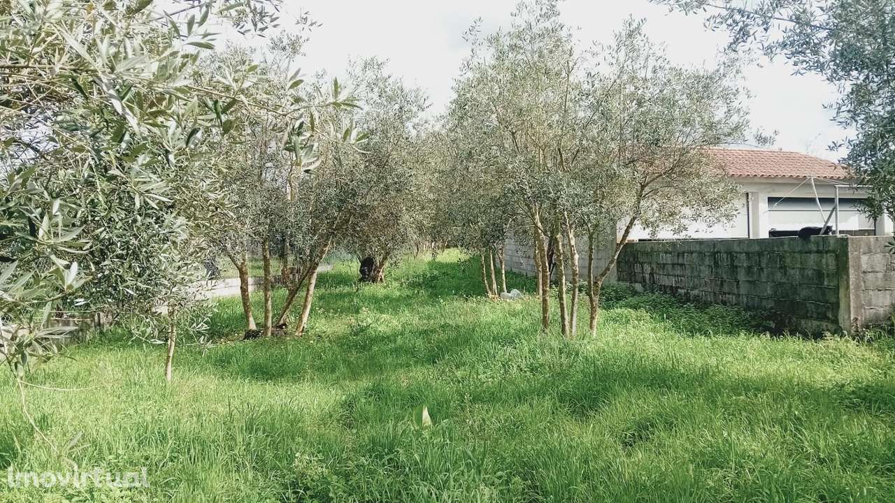 Terreno Rústico em Paleão – 1008m2 com Potencial para Moradia Moderna - Grande imagem: 3/13