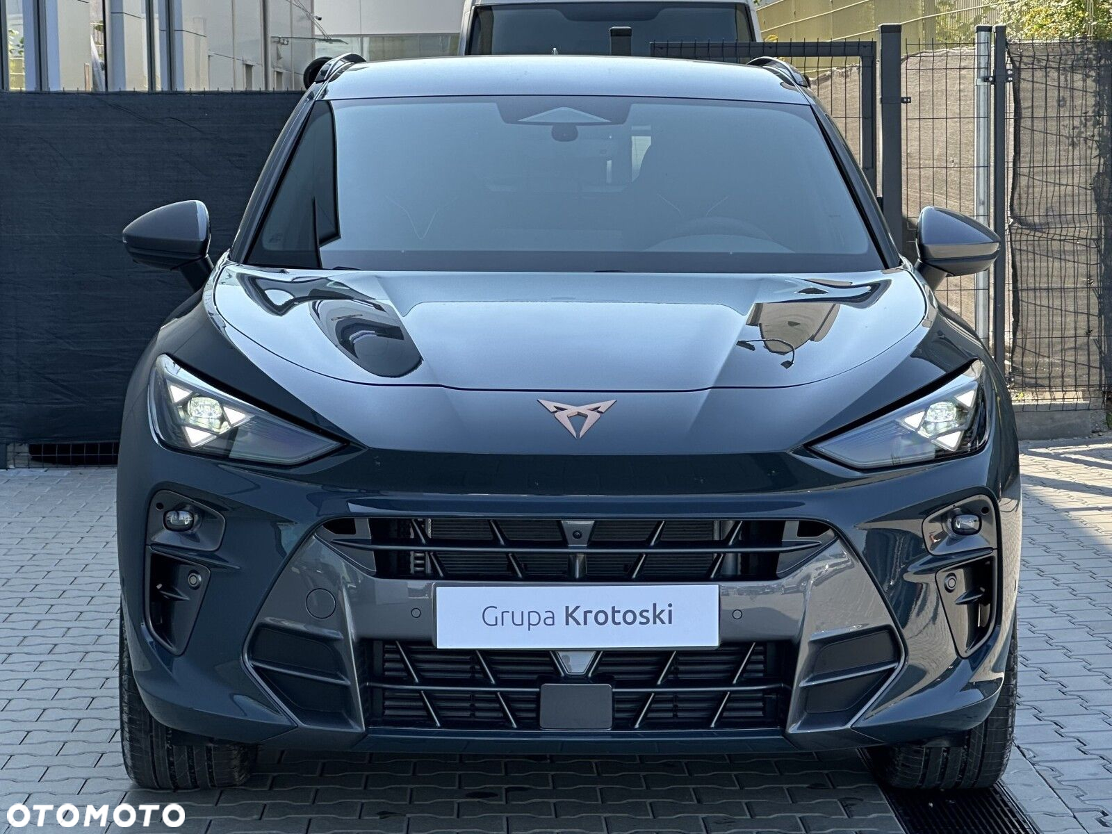 Cupra Terramar - 3