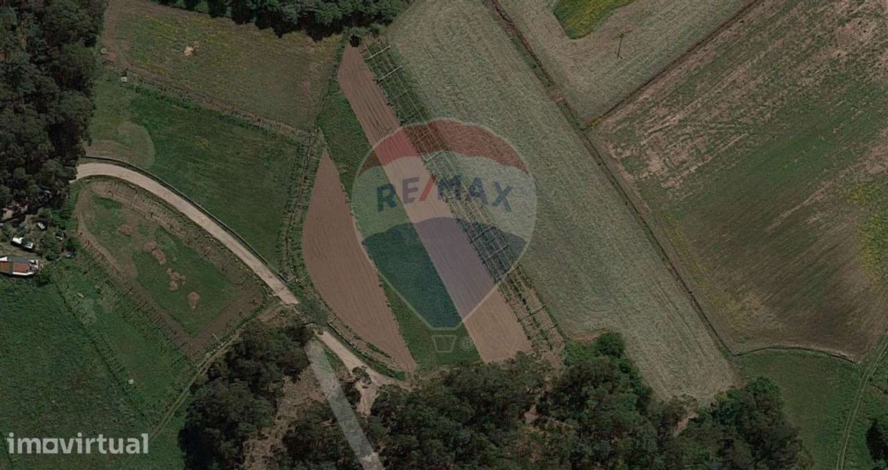Terreno  para venda - Grande imagem: 4/14