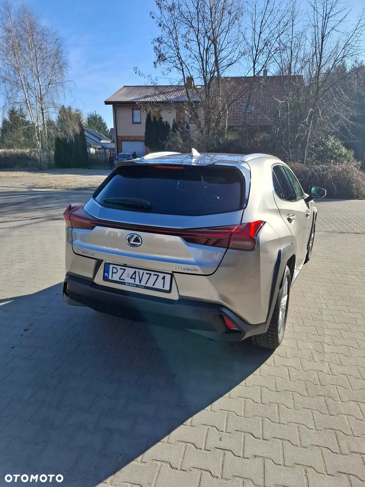 Lexus UX - 6