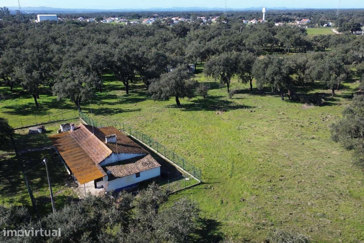 Refúgio Rural em Foros do Locário – 12,55 ha com Habitação e... - Grande imagem: 3/27