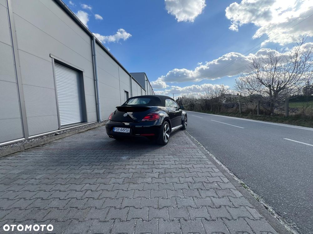 Volkswagen New Beetle - 8