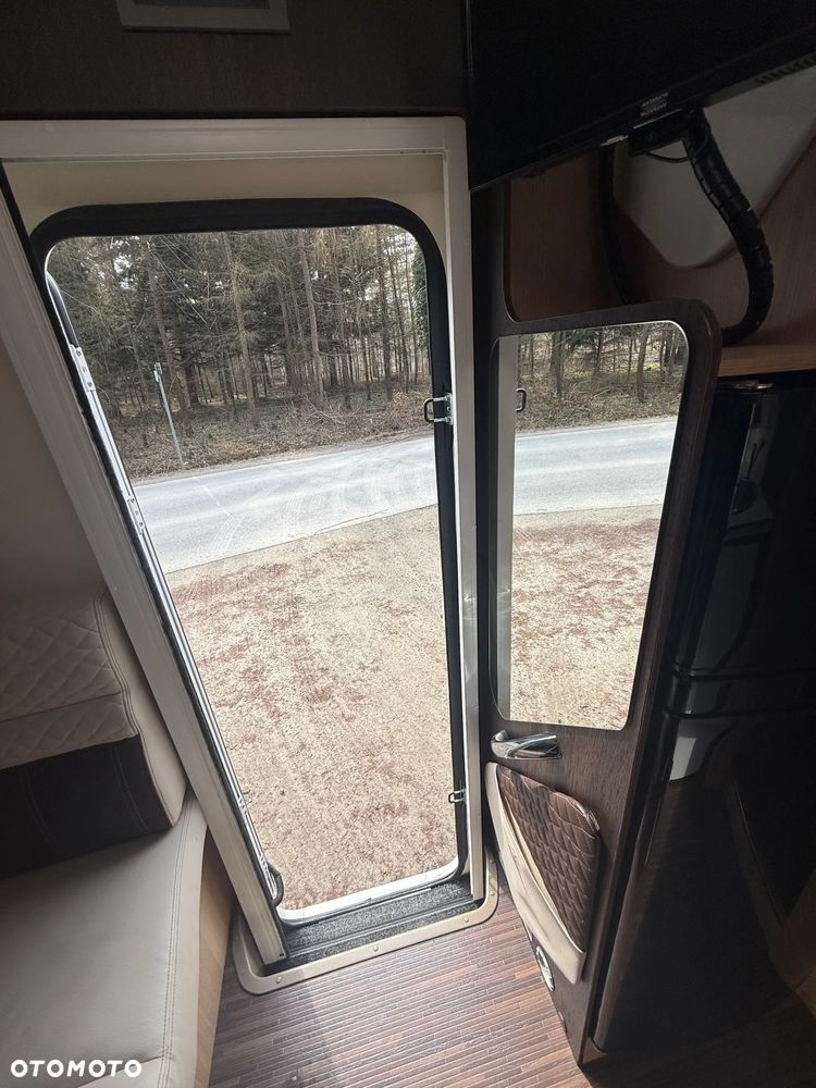 McLOUIS Yearling i61g - 22