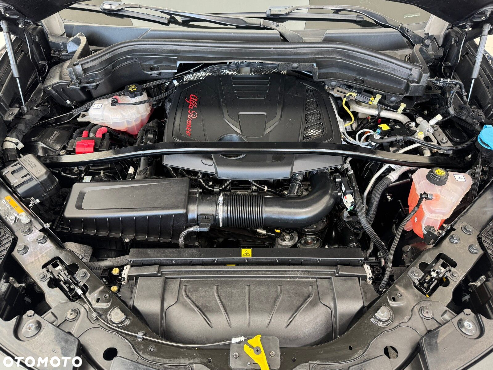 Alfa Romeo Stelvio 2.0 Turbo Veloce Q4 - 20