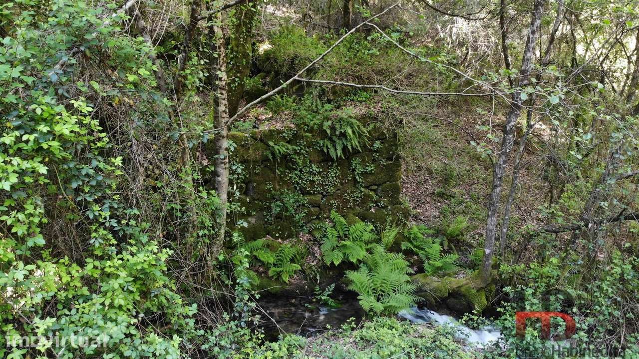 Quinta T2 Venda em Rio Douro,Cabeceiras de Basto