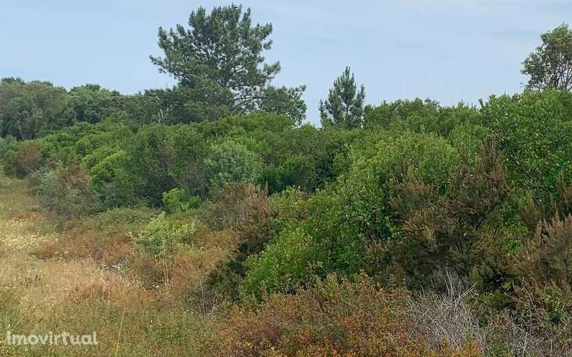 2 Terrenos Rústicos - Grande imagem: 5/5