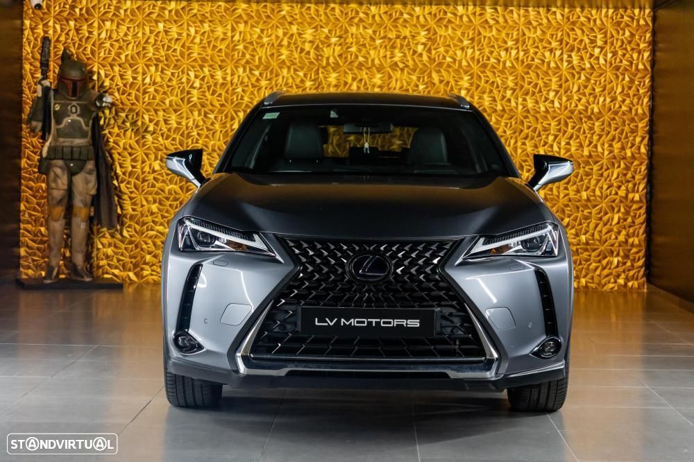 Lexus UX 300e Luxury - 11