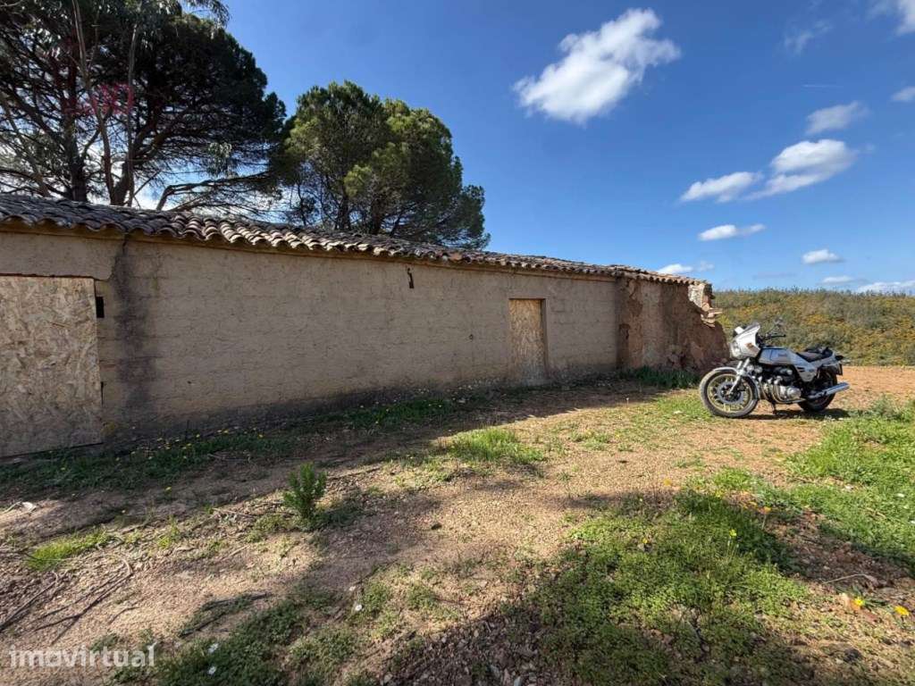 Monte com 37.000 m² e elevado potencial para habitação própria ou e... - Grande imagem: 5/11