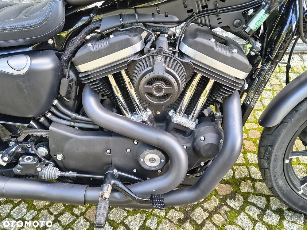 Harley-Davidson Sportster Custom 883C - 12