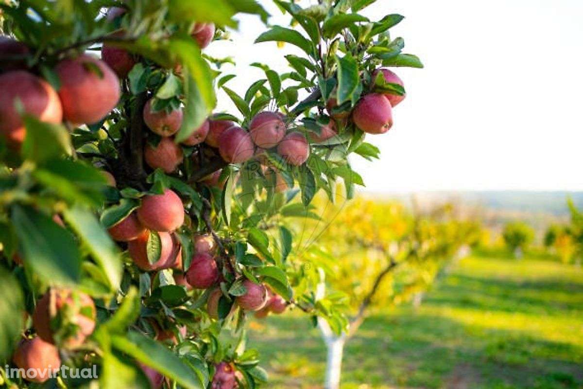 Terreno  para venda - Grande imagem: 2/10