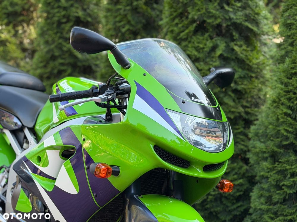 Kawasaki Ninja - 10