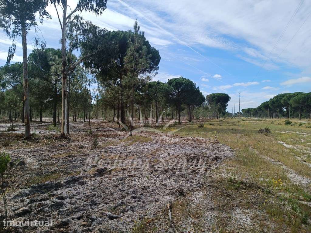 Herdade Bicas - Comporta - Grande imagem: 3/25