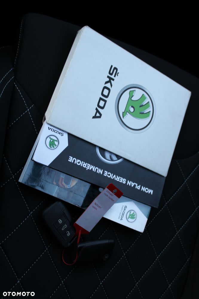 Skoda Karoq 2.0 TSI 4x4 Sportline DSG - 40