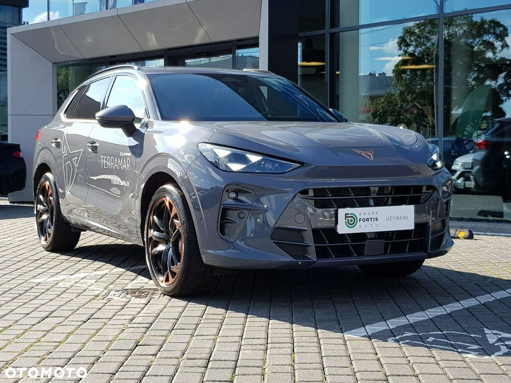 Cupra Terramar 2.0 TSI 4Drive VZ DSG - 11