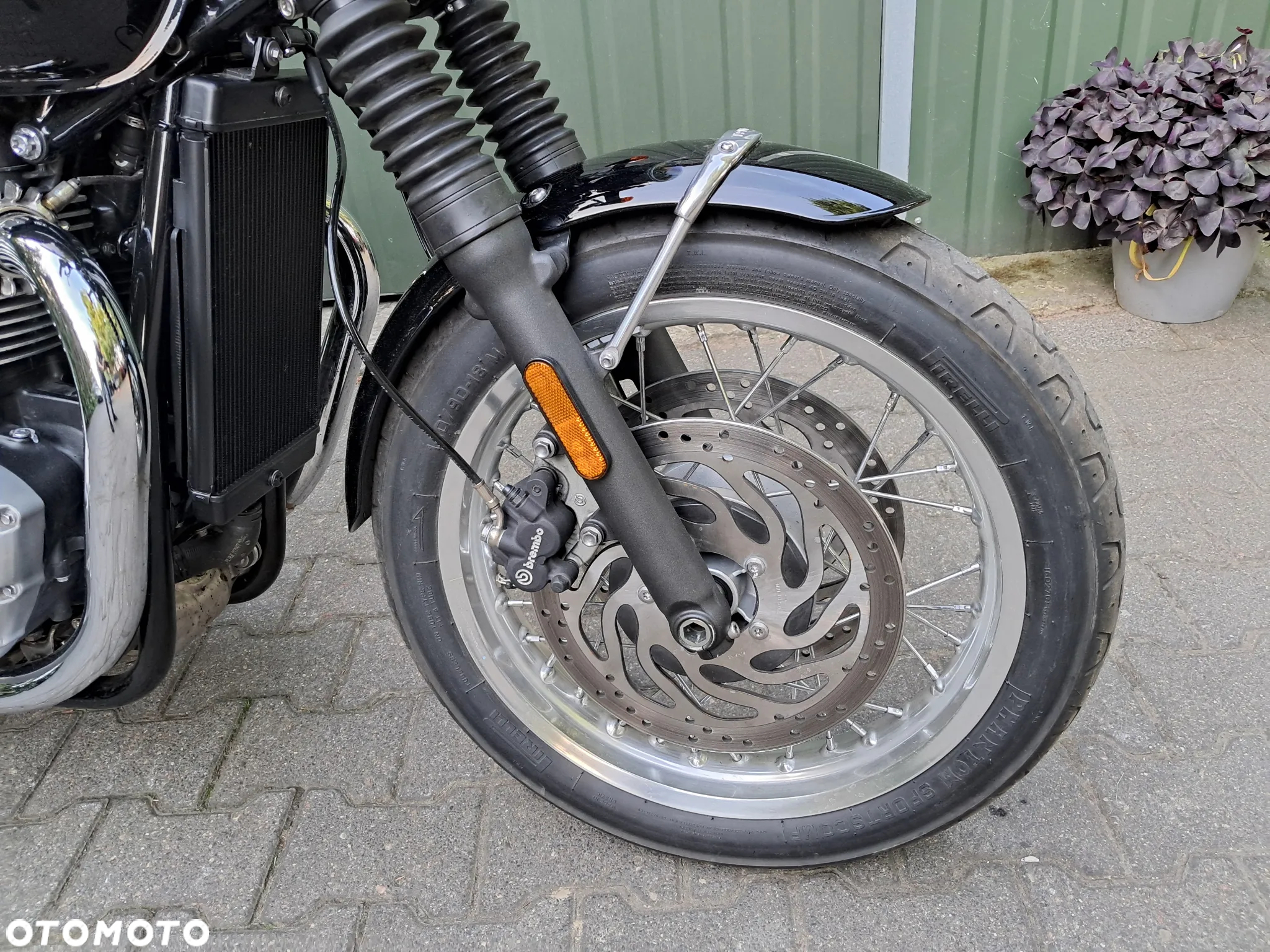 Triumph Bonneville - 12