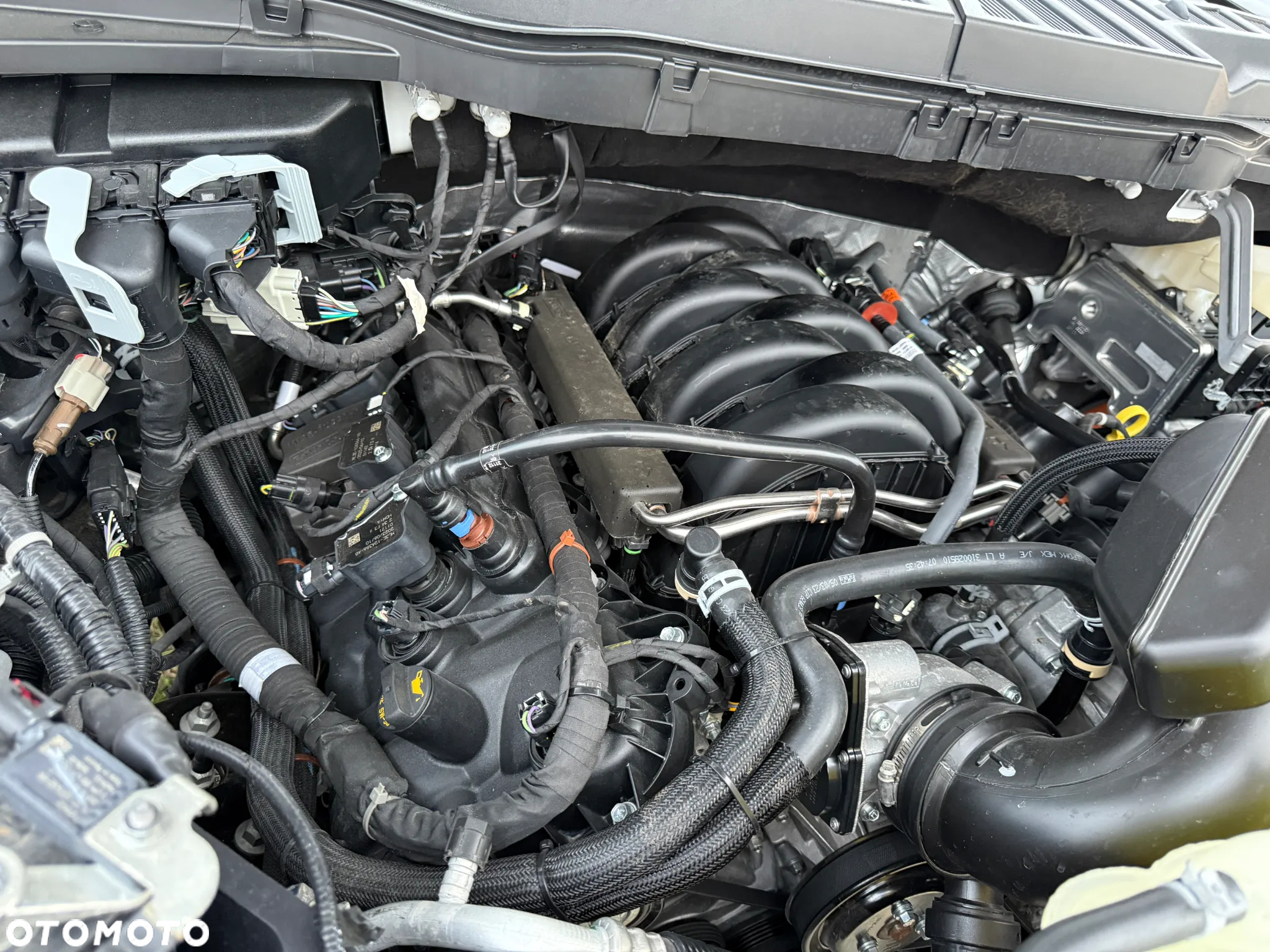 Ford F150 - 33