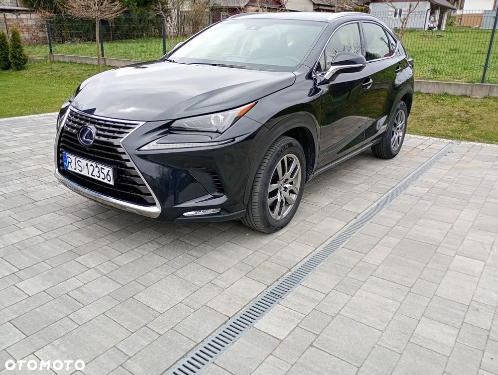 Lexus NX 300h Elegance 2WD - 2