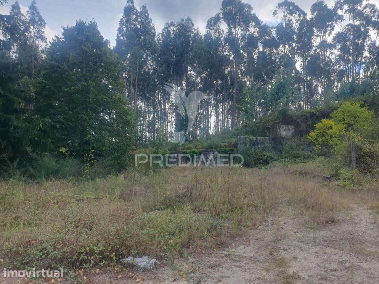 Terreno com 22 000m2 em Fafe - Grande imagem: 2/15