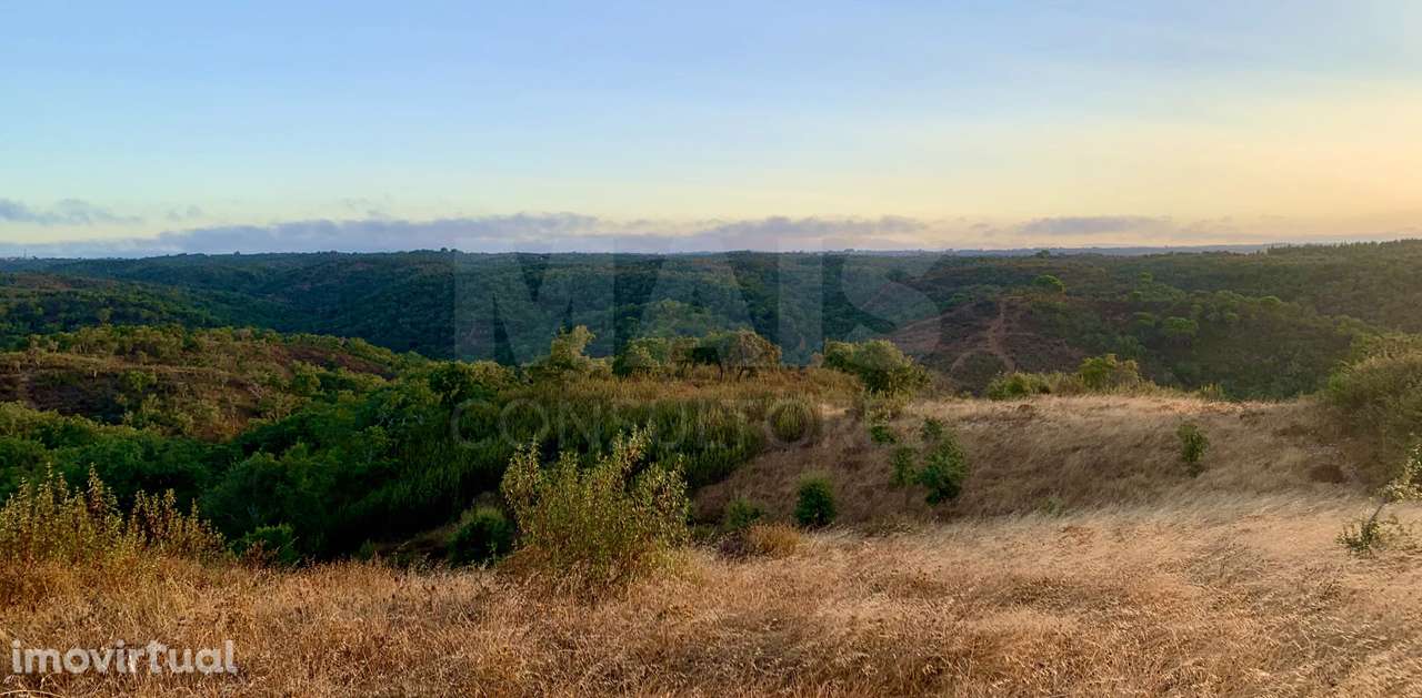 Herdade  com 40,85 hectares em São Bartolomeu da Serra, Santiago do... - Grande imagem: 5/50