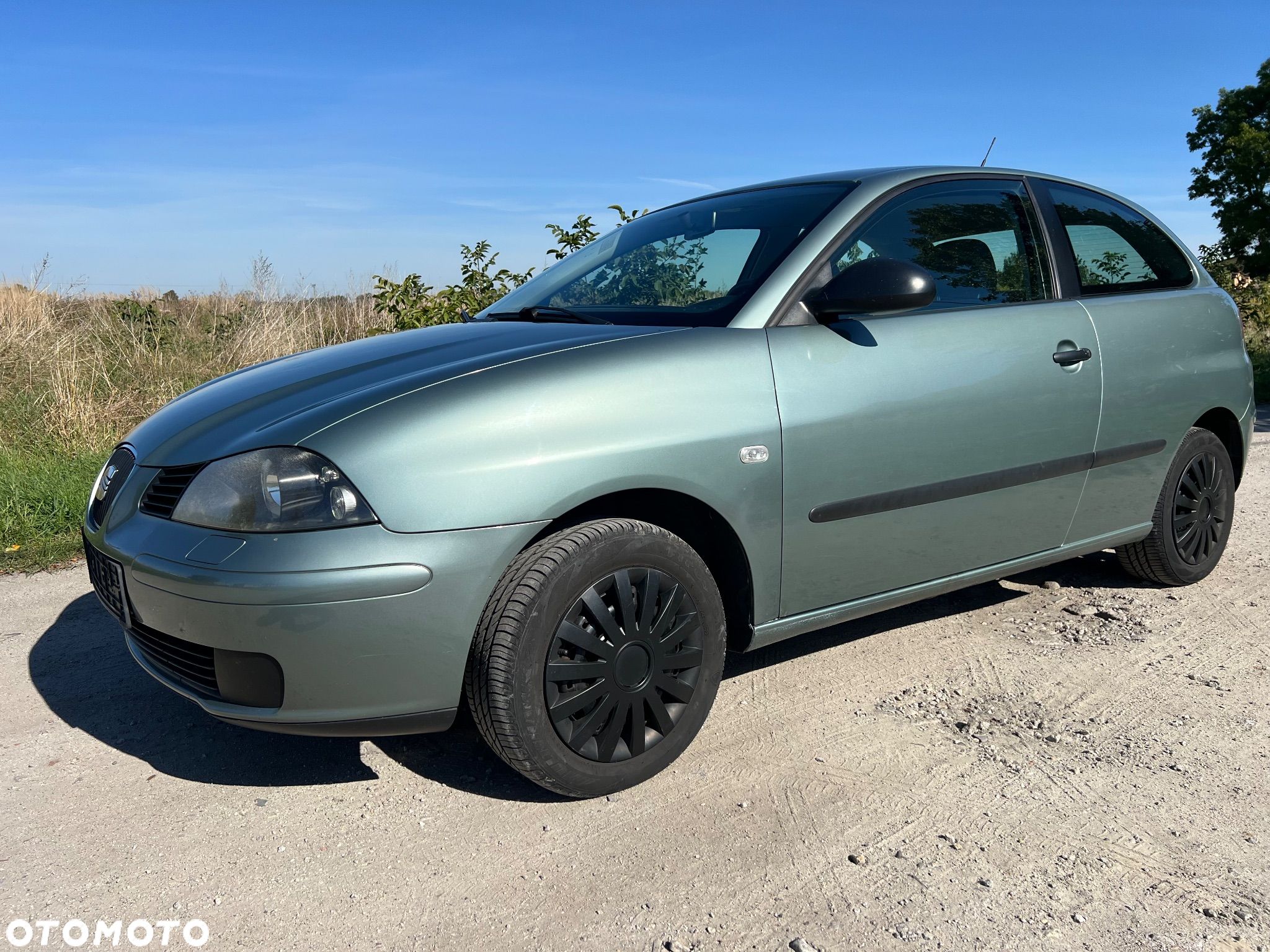 Seat Ibiza - 1