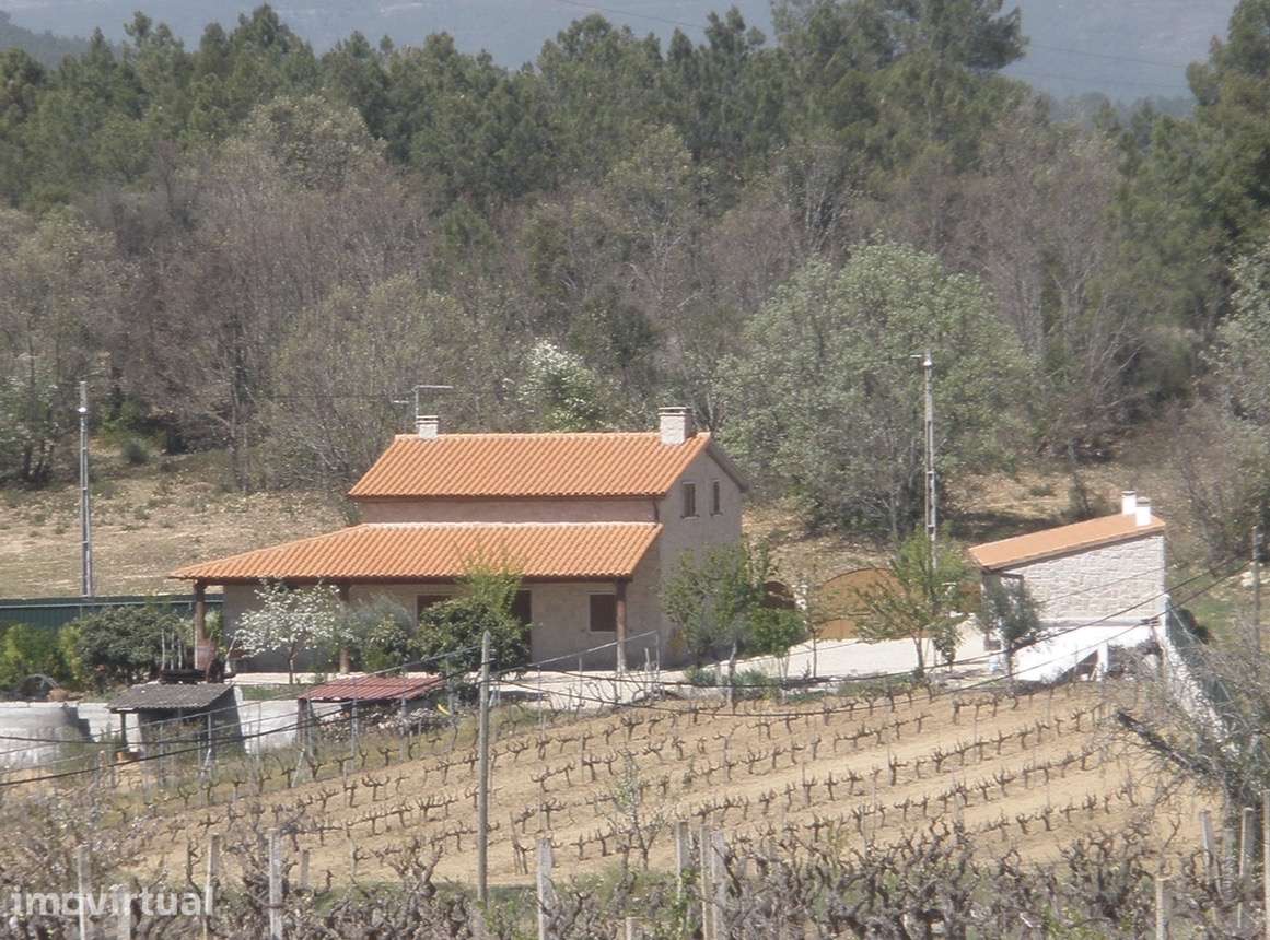 Quintinha de Sonho - Grande imagem: 2/21