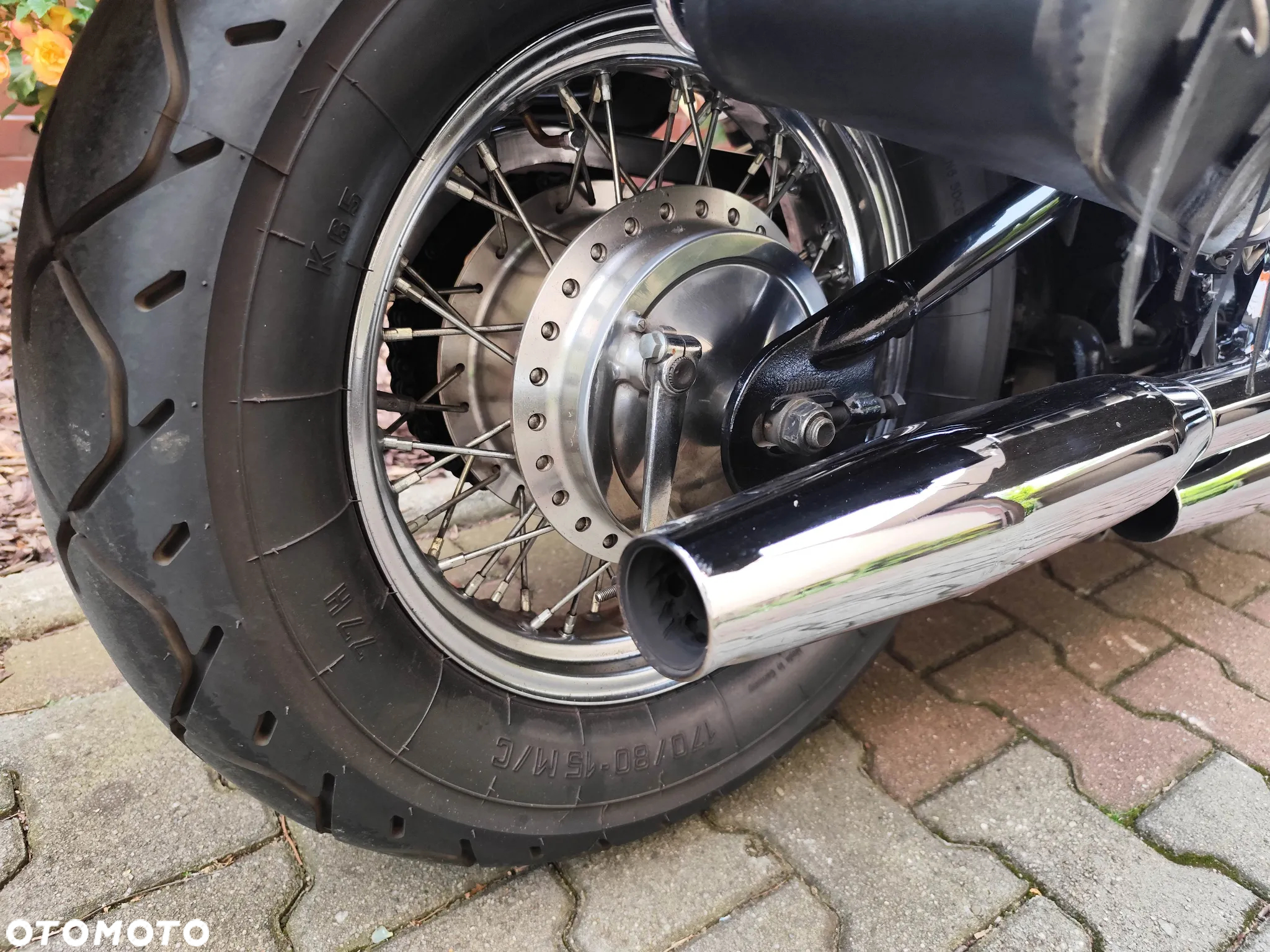 Honda Shadow - 11
