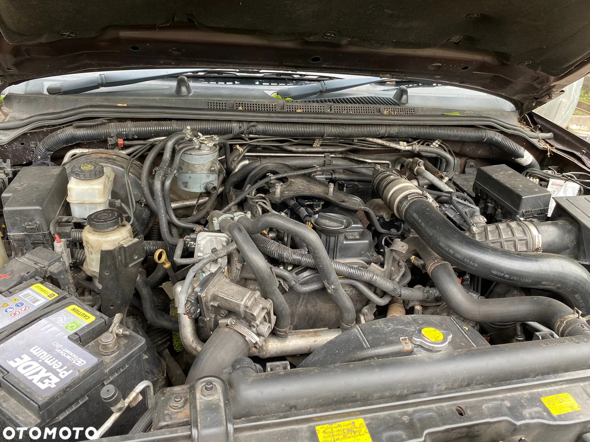 Nissan Navara 2.5 D Platinum - 11