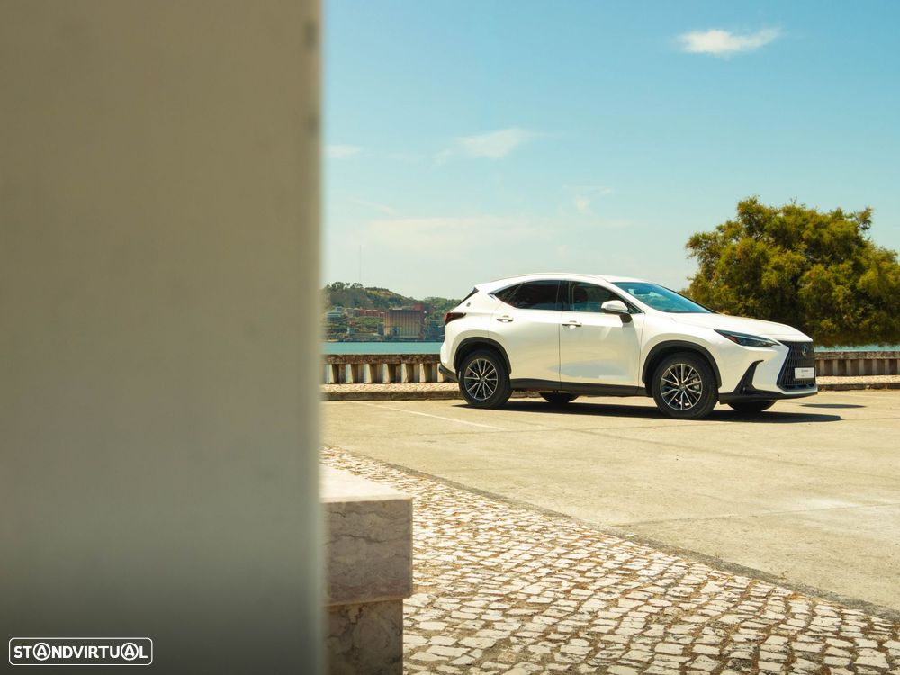 Lexus NX 450h+ Executive - 19