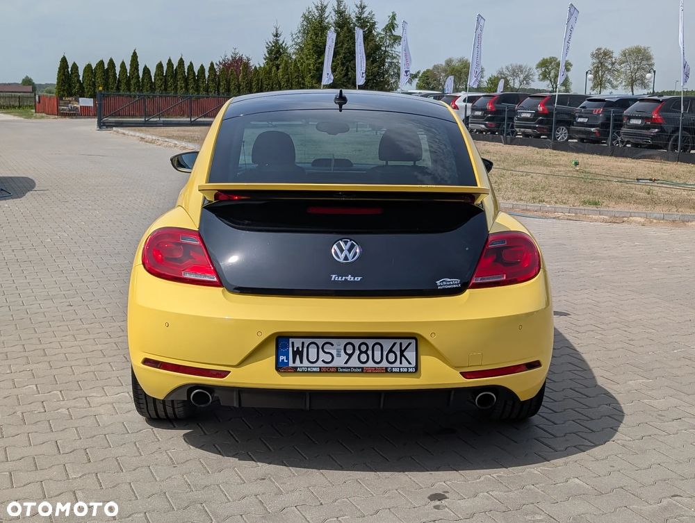 Volkswagen Beetle - 14