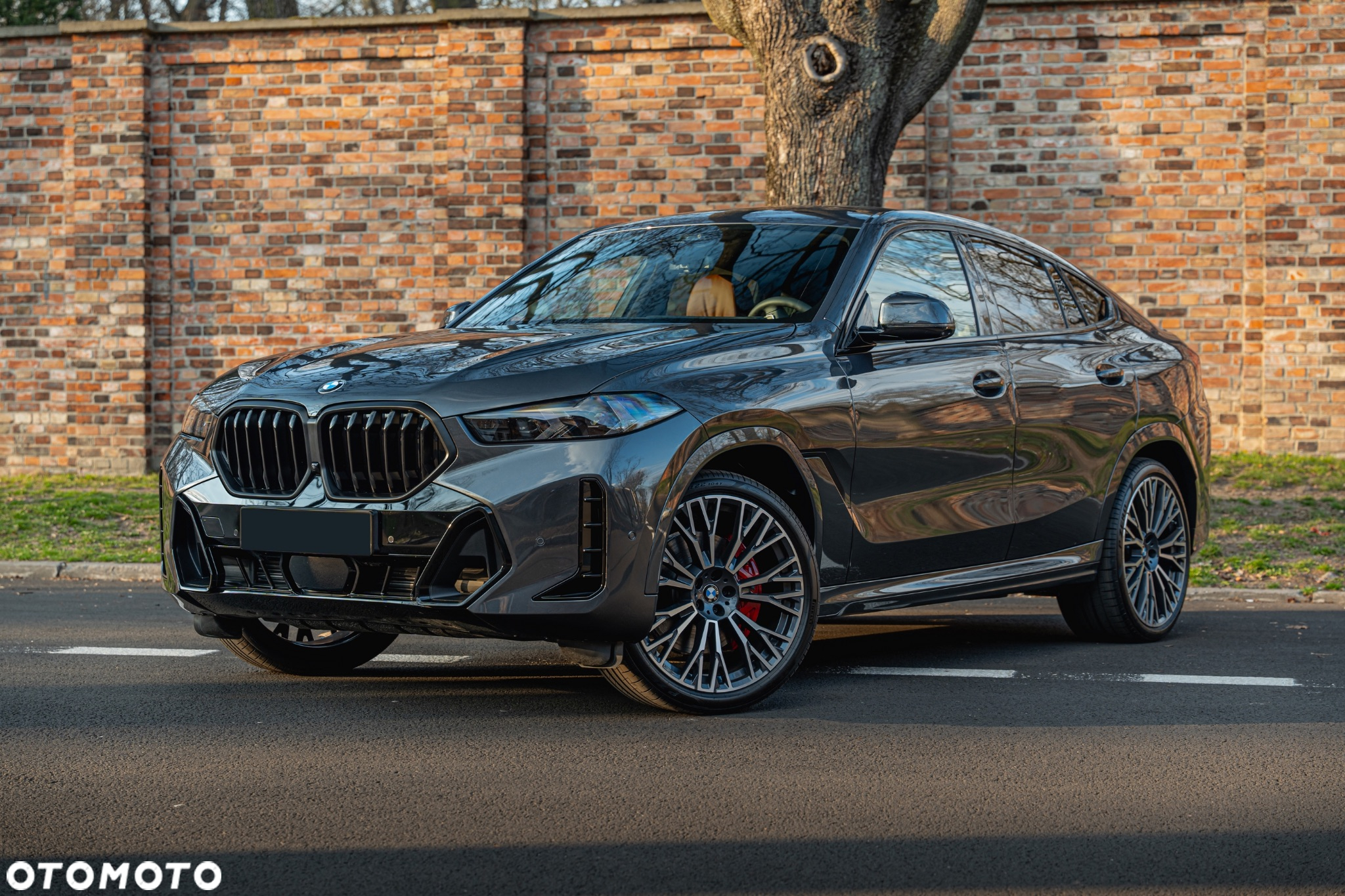 BMW X6 xDrive30d - 2