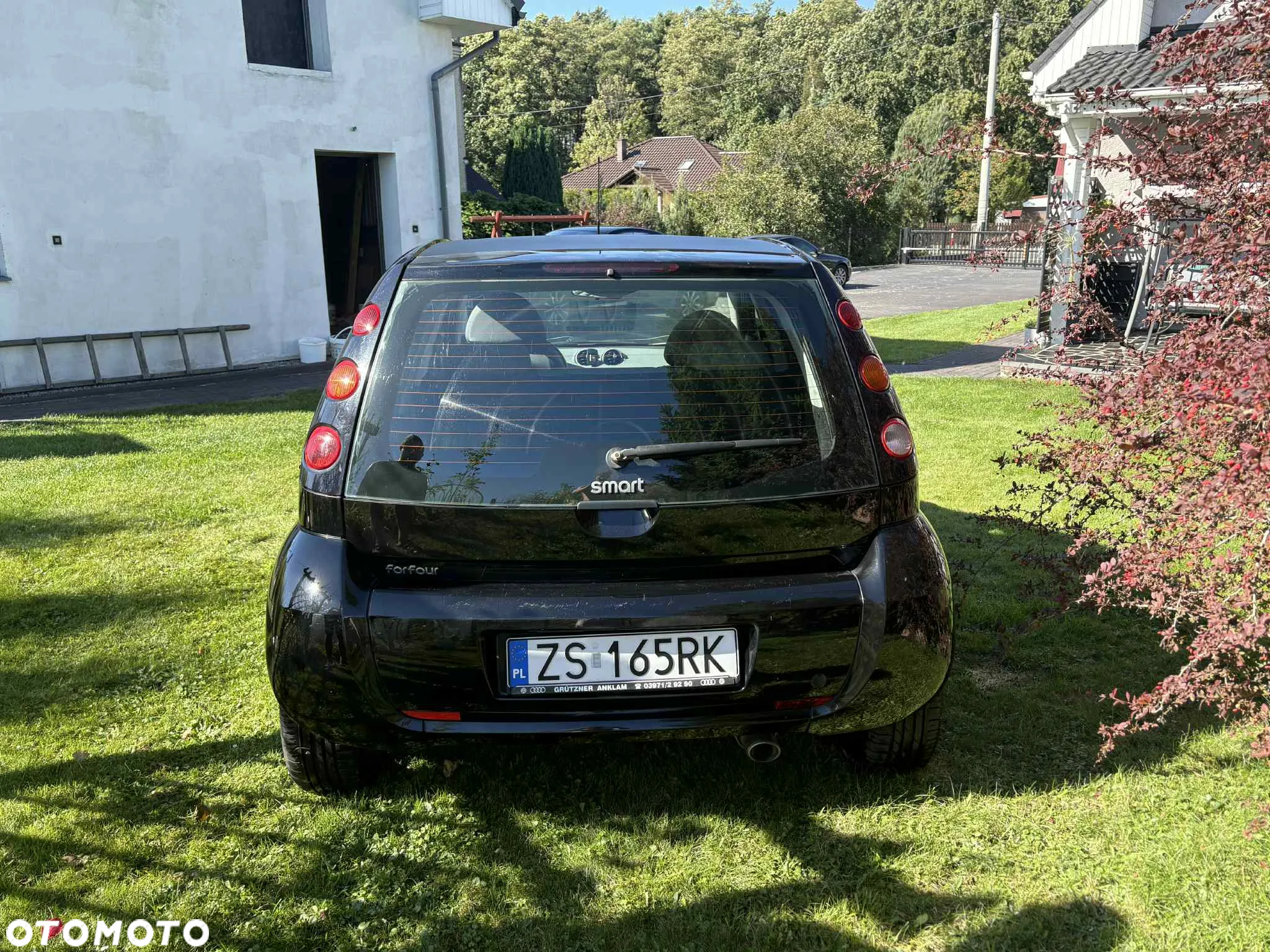 Smart Forfour pure - 3