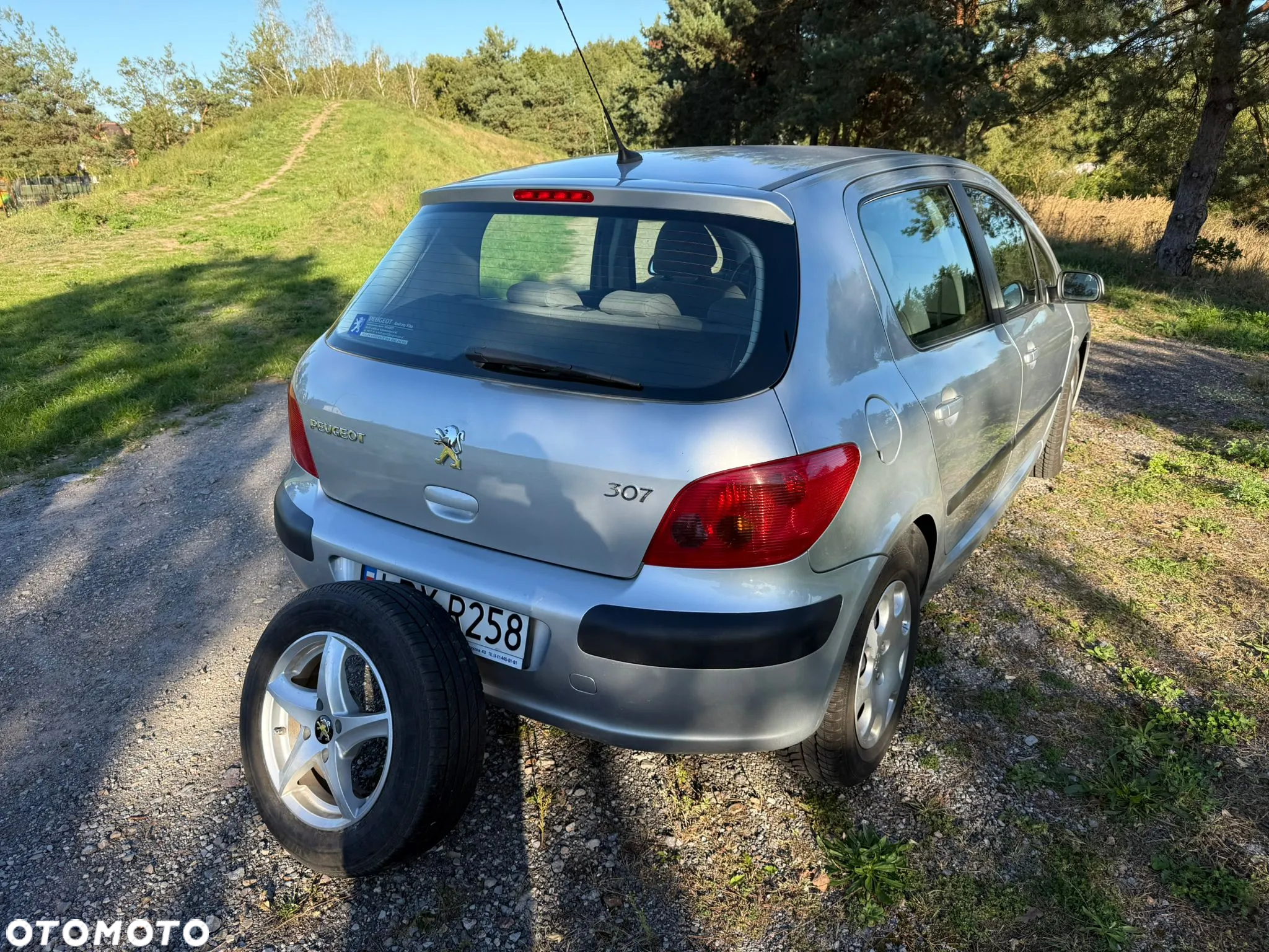Peugeot 307 1.6 XR - 17