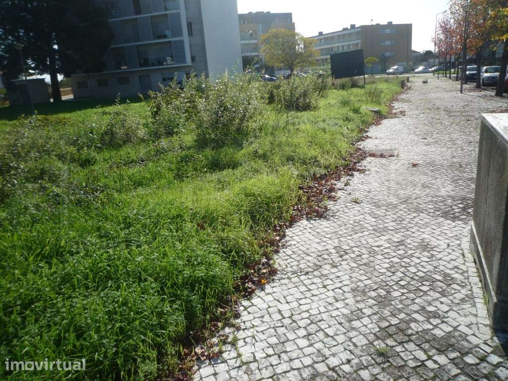 Lote de terreno em Albergaria-a-Velha - Grande imagem: 3/5