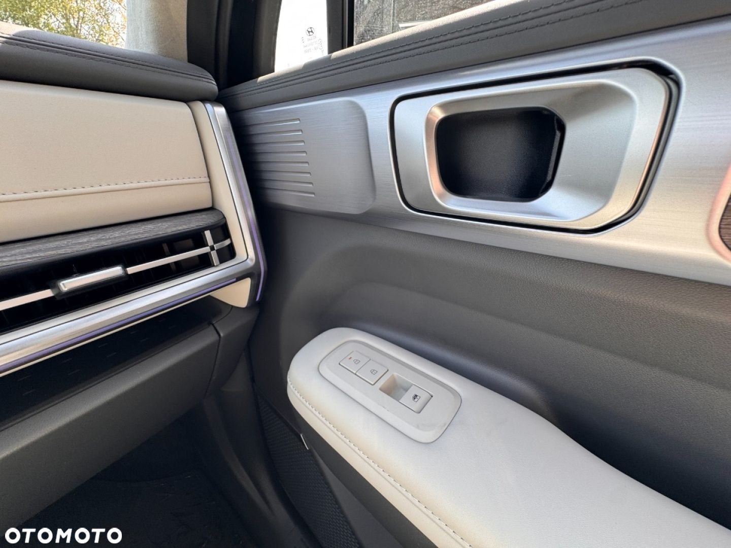 Hyundai Santa Fe - 18